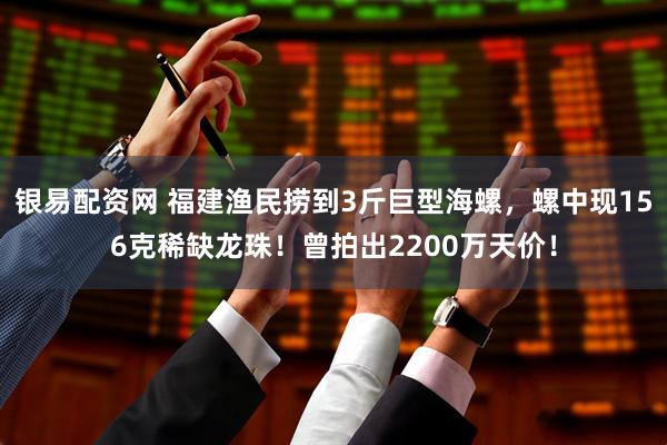 银易配资网 福建渔民捞到3斤巨型海螺，螺中现156克稀缺龙珠！曾拍出2200万天价！