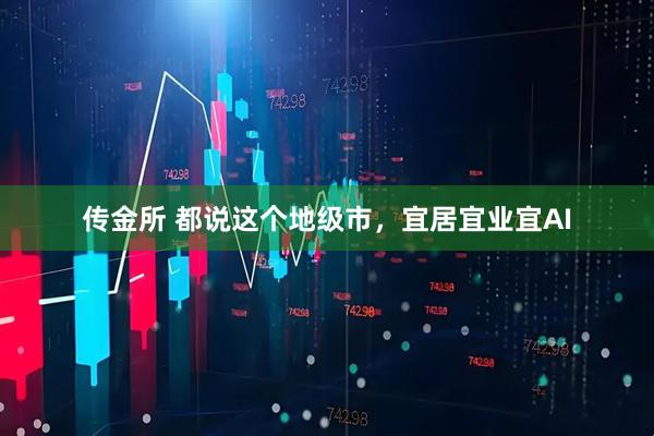 传金所 都说这个地级市，宜居宜业宜AI