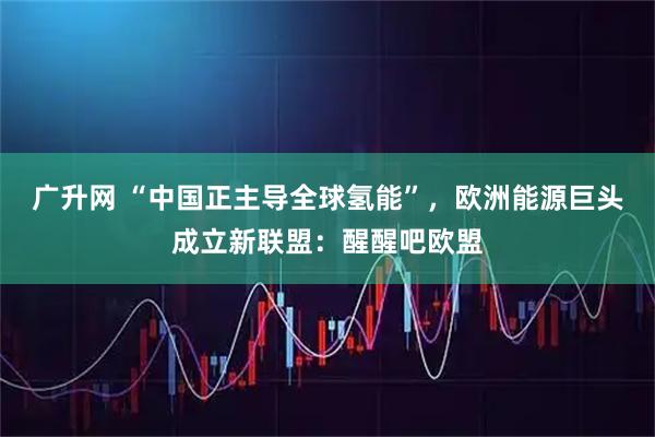 广升网 “中国正主导全球氢能”，欧洲能源巨头成立新联盟：醒醒吧欧盟