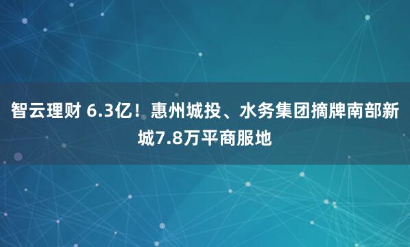 智云理财 6.3亿！惠州城投、水务集团摘牌南部新城7.8万平商服地