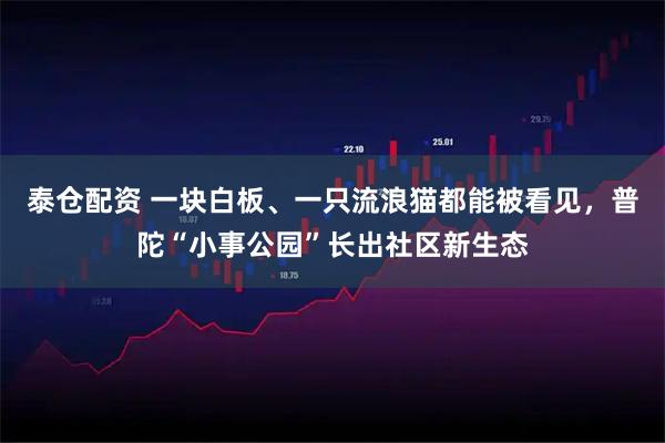 泰仓配资 一块白板、一只流浪猫都能被看见,普陀“小事公园”长出社区新生态