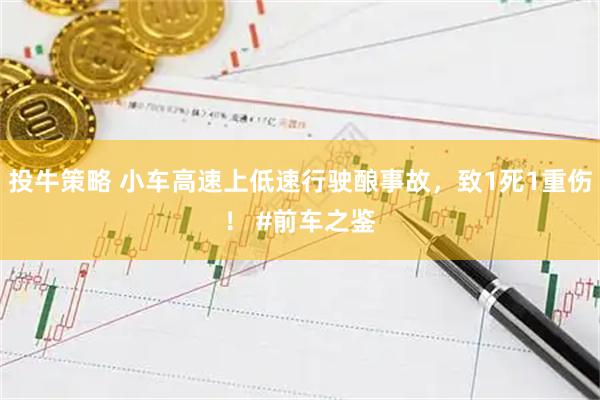 投牛策略 小车高速上低速行驶酿事故，致1死1重伤！ #前车之鉴