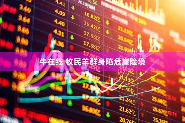 牛在线 牧民羊群身陷危崖险境